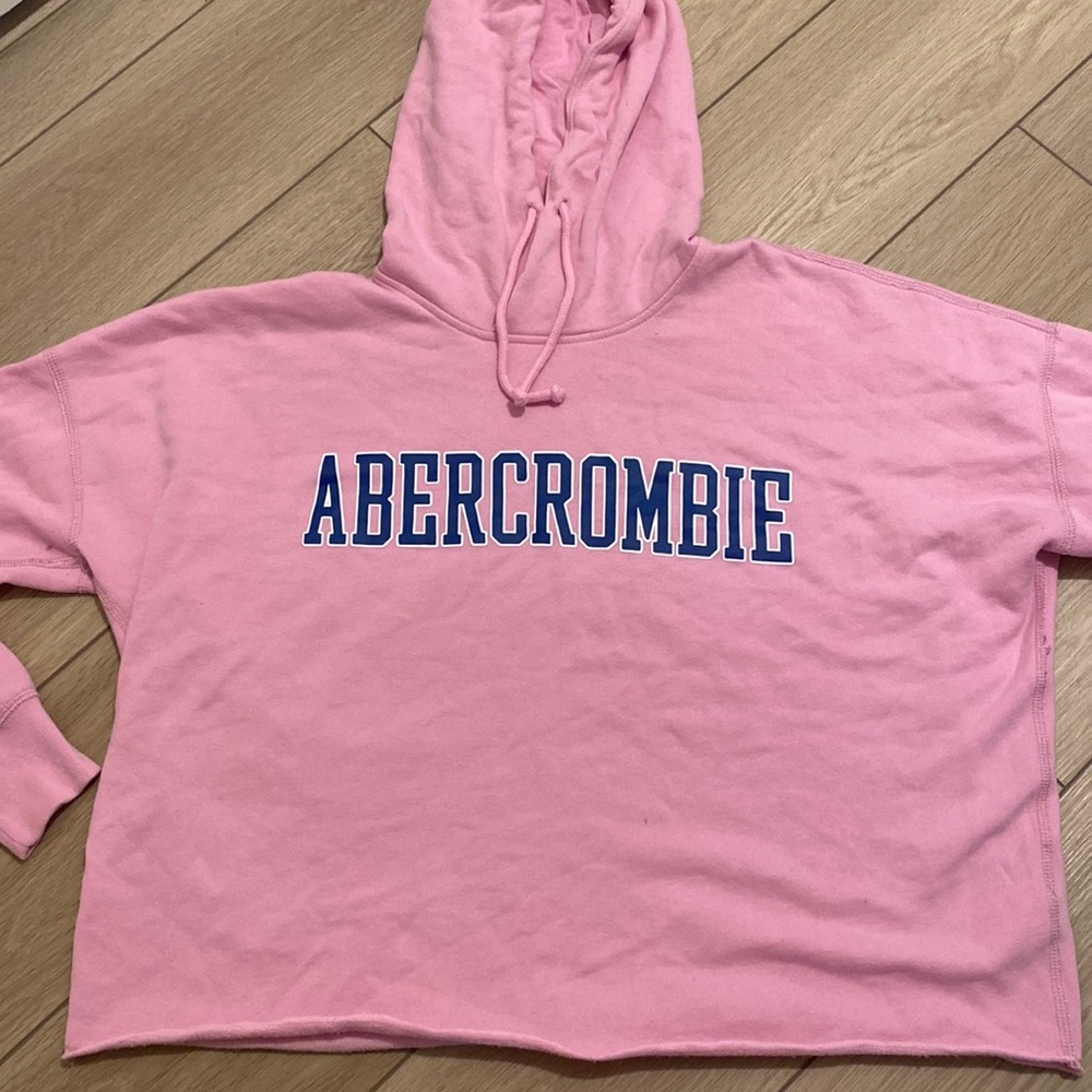Y2K Oversized Cropped Abercrombie Hoodie